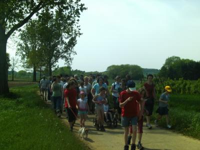 BILD0710