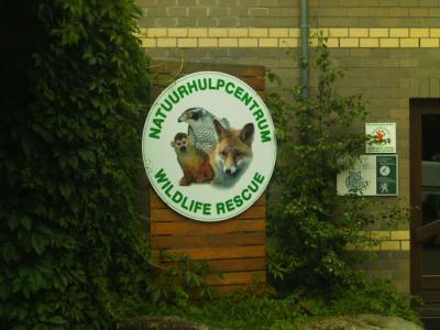 BILD0736