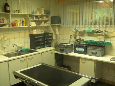 BILD0737