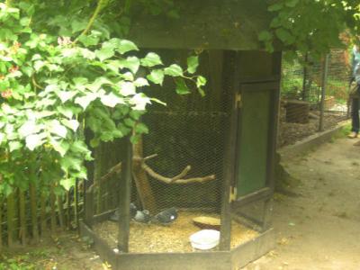 BILD0739