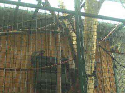 BILD0742