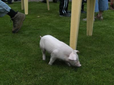 BILD0978