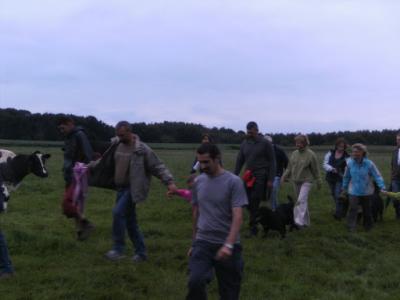 BILD0986