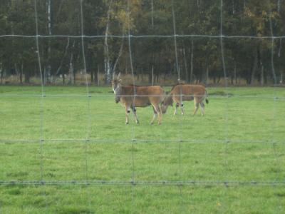 BILD1601