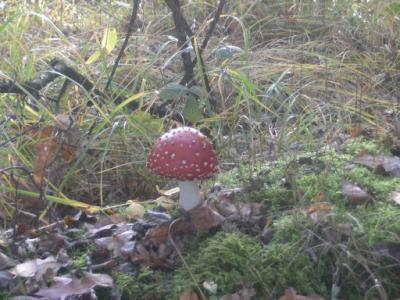 BILD1607