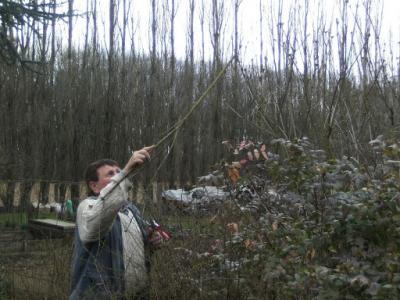 BILD1734