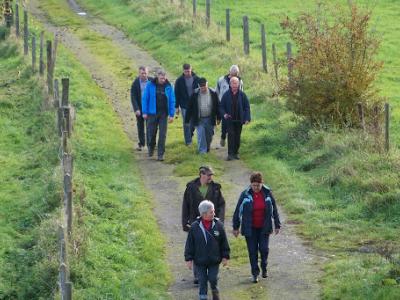 Herfst wandeling L